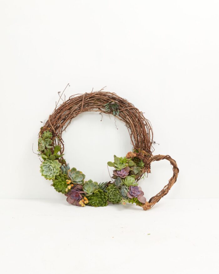 Fresh Live Succulent Wreath - Image 3