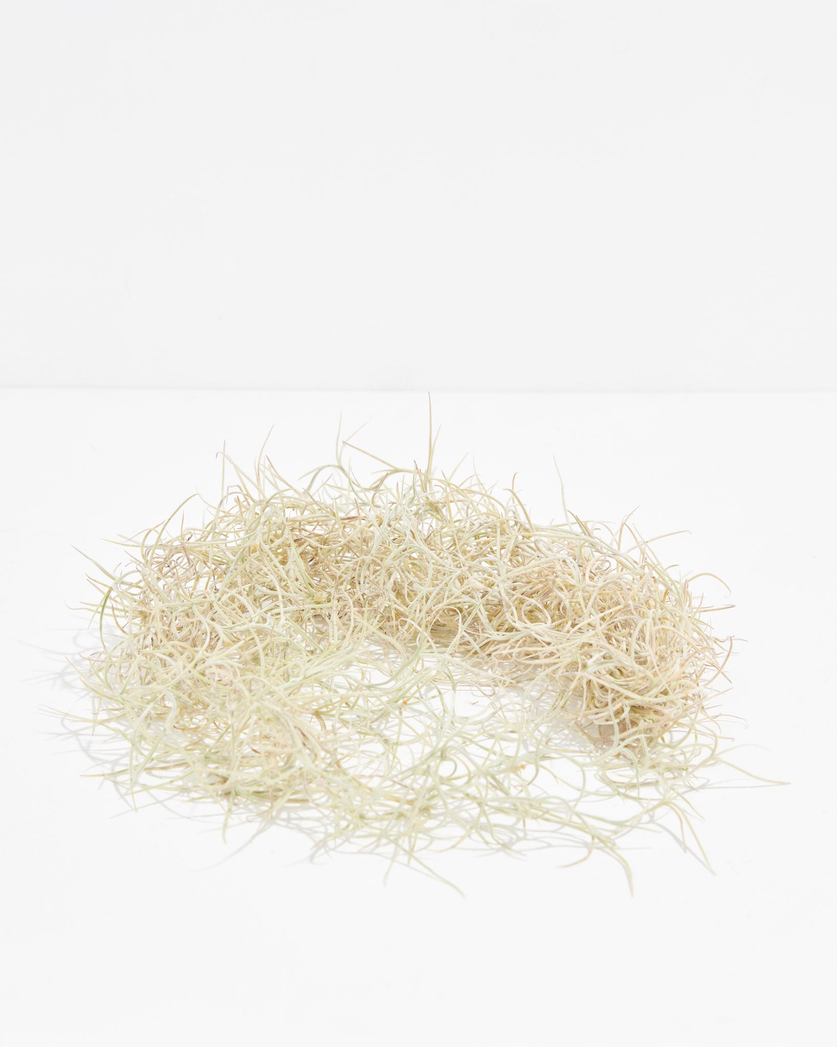 pl_Hanging2_Airplant_1